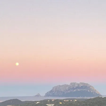 Lu Lisandraggiu Farma Olbia